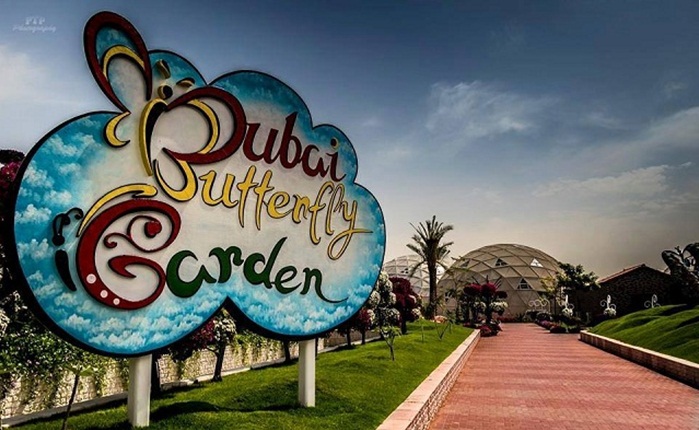 Dubai butterfly garden, Dubai tourist places, Dubai attractions