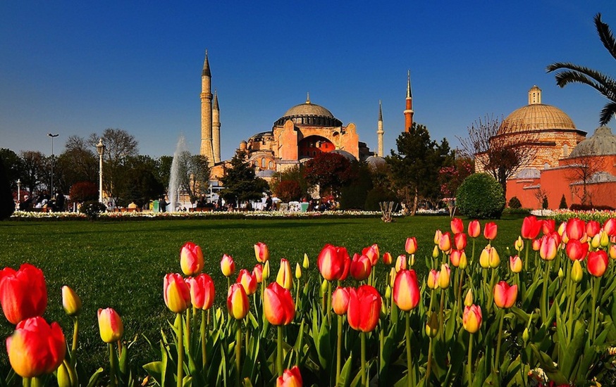 Istanbul tulip festival, Turkey travel, Turkey facts, iEagle travel